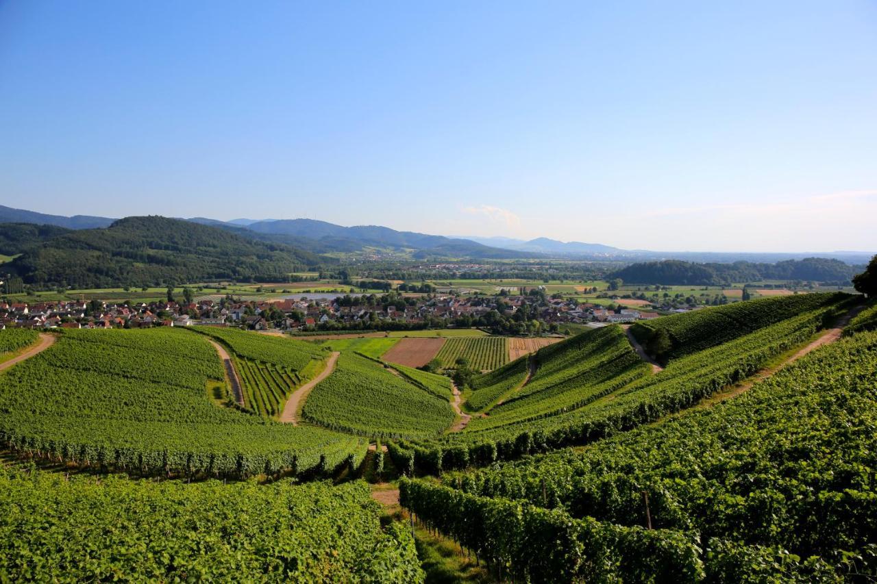 Annas Stube - Boutique Design Bauernhof Villa Waldkirch Luaran gambar